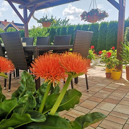 Zsuzsi Vendeghaz Hotel Zalaegerszeg Eksteriør billede
